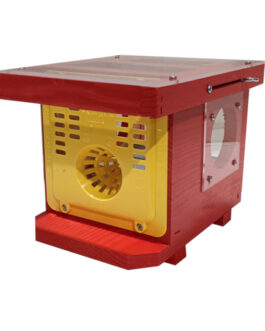 Piège à frelons asiatiques peint