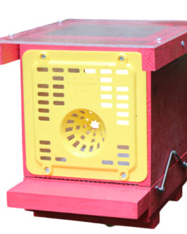 Piège à frelons asiatiques peint