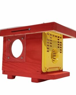 Piège à frelons asiatiques peint