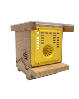 Piège à frelons asiatiques non peint