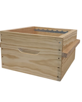 Corps Warré monté vide