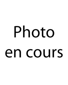 Ruchette complète Dadant 6 cadres lourds, plateau amovible semi aéré