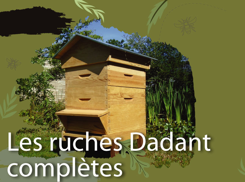 Ruches Dadant complète