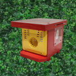 Un piège redoutable contre les frelons asiatiques, et c’est un carton