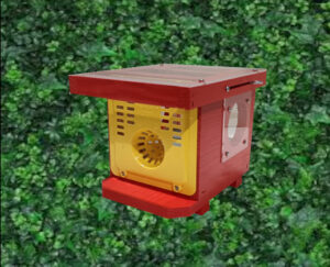 Lire la suite à propos de l’article Un piège redoutable contre les frelons asiatiques, et c’est un carton