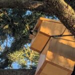 ✨ Un retour qui nous touche particulièrement !