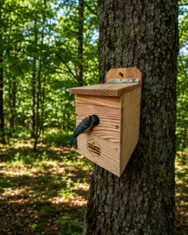 Nichoir à oiseaux Multi-espéces