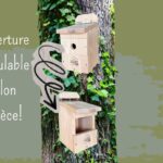🌿🐦Pour la rentrée, offrez un refuge aux oiseaux avec le nichoir multi-espèces ROBIDA !