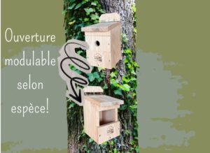 Lire la suite à propos de l’article 🌿🐦Pour la rentrée, offrez un refuge aux oiseaux avec le nichoir multi-espèces ROBIDA !