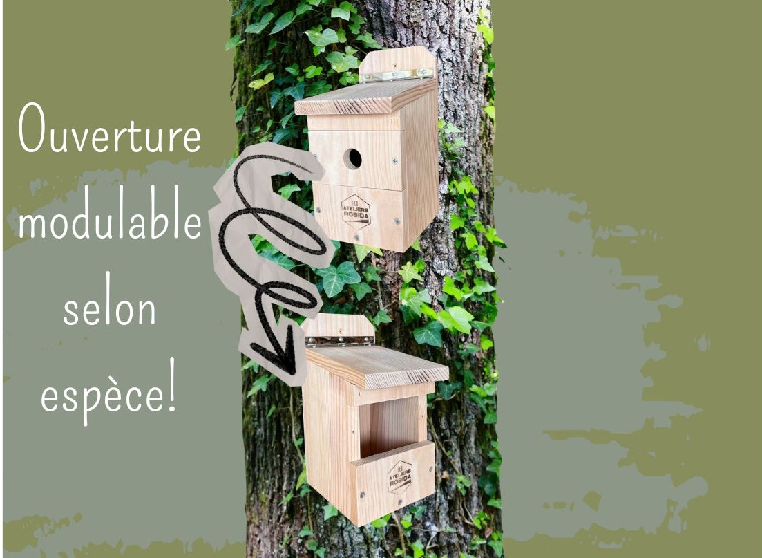 You are currently viewing 🌿🐦Pour la rentrée, offrez un refuge aux oiseaux avec le nichoir multi-espèces ROBIDA !
